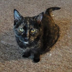Meet your Posher, Jeanne